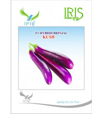 Brinjal Iris F1 Kush 10 grams